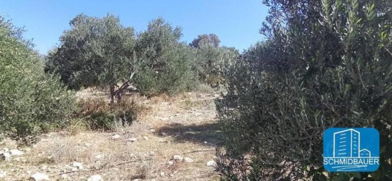 Pitsidia Ein wunderschönes Stück Land mit Meerblick in Pitsidia Grundstück kaufen